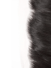 Brooklyn Hair 13x4 HD Lace Frontal – Straight True Swiss HD 100% Remy Human Hair