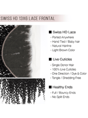 Brooklyn Hair 13x6 HD Lace Frontal – Bohemian Jerry Curl True Swiss HD 100% Remy Human Hair 14" / Water Wave / Swiss HD Lace