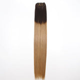 Ombre Color Virgin Straight Clip-In Hair Extensions