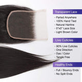 Brooklyn Hair Brooklyn Hair 7A Straight / 2 Bundles with 5x5 Lace Closure Look by Renae Natural Black