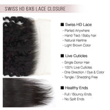 Brooklyn Hair Brooklyn Hair 9A Remy Straight 6x6 HD Lace Closure Swiss HD Lace / Natural Black / 20
