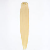 Platinum Blonde Straight Clip-In Hair Extensions
